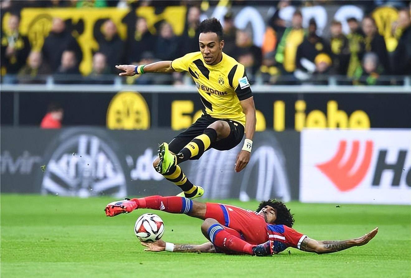 山东泰山最新消息今天新闻