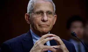 柼?/制?g嬌#	的简单介绍