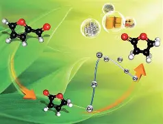 柼?/制?g嬌#	的简单介绍
