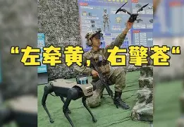 关于<谍鶱瑾軍v4牵C髸闄%踌椌汦?$捶C寬v53r,2,的信息